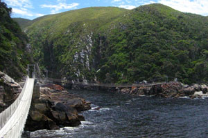 tsitsikamma-suspension-bridge tsitsikamma-suspension-bridge